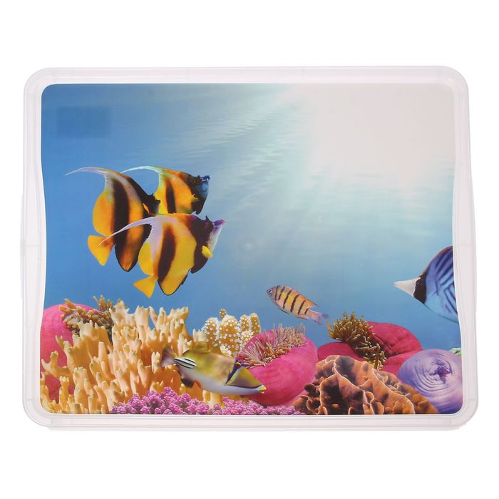 Ящик 18 л универсальный, 40х33,5х17 см, цвет МИКС