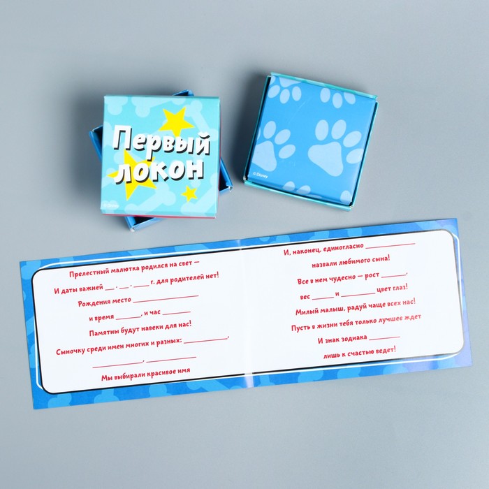 Подарочный набор: фотоальбом на 36 фото и памятные коробочки "Наш любимый сыночек", 101 Далматинец, Дисней Беби