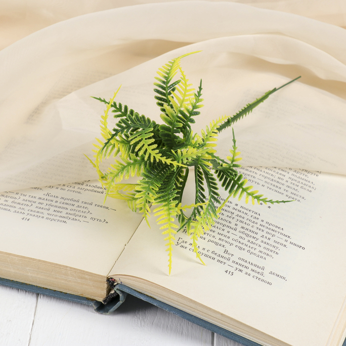 Букет "Папоротник волнистый"