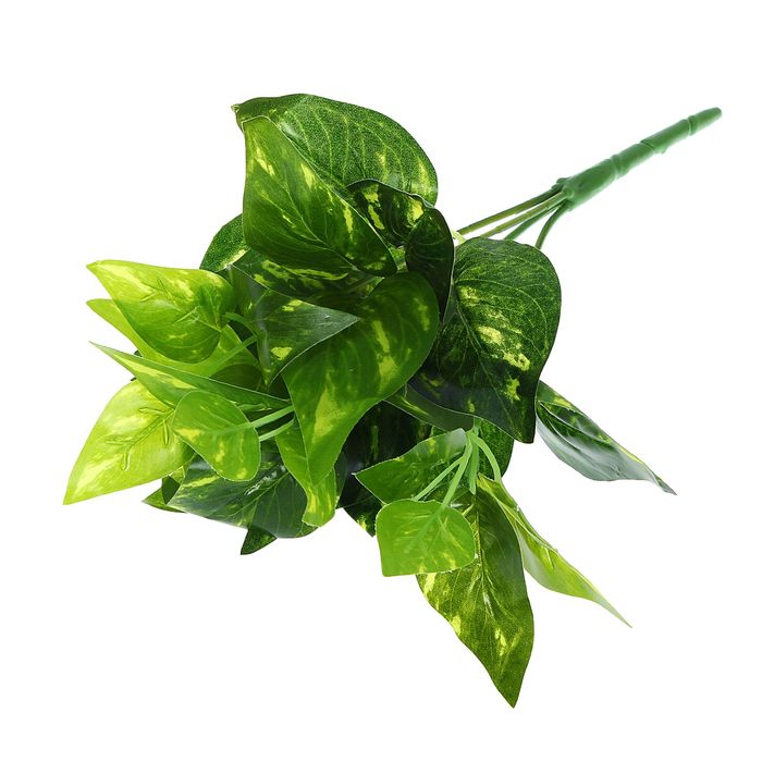 Букет "Плющ"