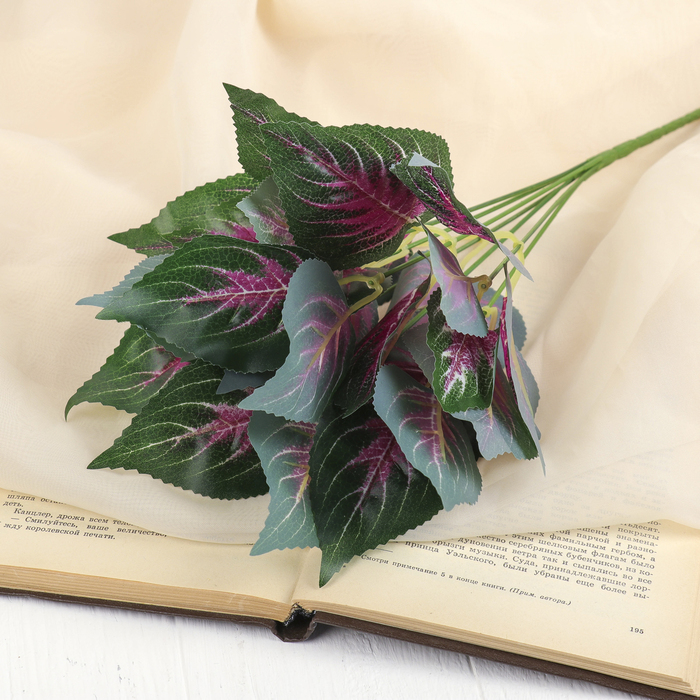 Букет "Колеус розовый"