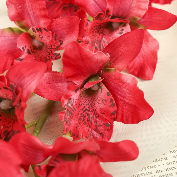 Цветы искусственные "Орхидея Загадка" красная