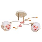 Люстра "Мэйт", 2 лампы