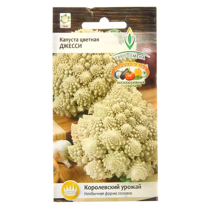 Семена Капуста "Джесси" цветная, среднеранний, соцветия куполообразные, 0,3 г