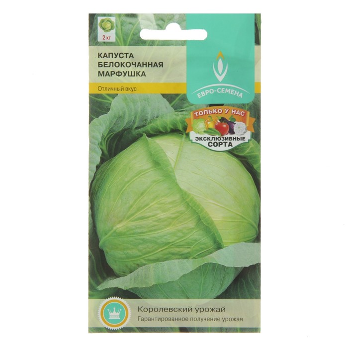 Семена Капуста "Марфушка" белокочанная, раннеспелая, масса до 2 кг, 0,3 г
