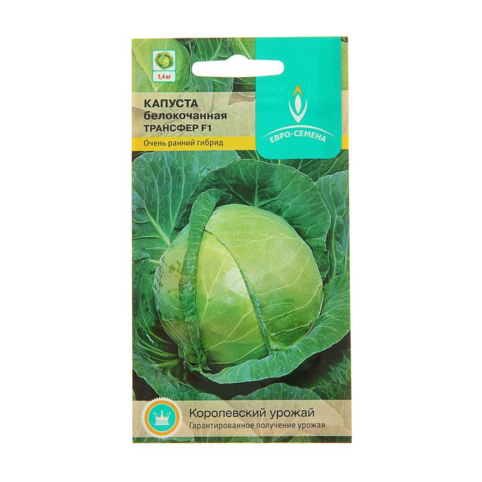Семена Капуста "Трансфер" F1, белокочанная, раннеспелая, 0,1 г
