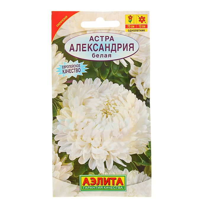 Семена цветов Астра "Александрия" белая, О, 0,1 г