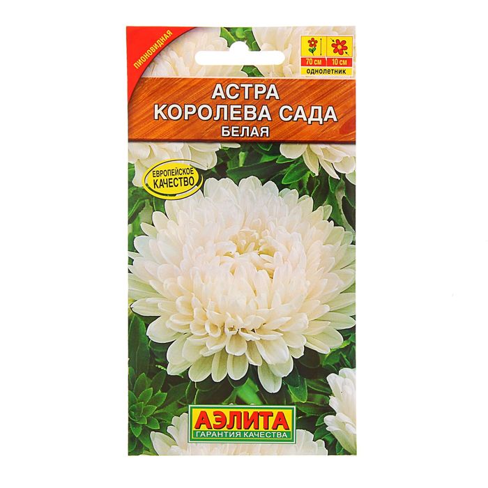 Семена цветов Астра "Королева сада" белая, О, 0,2 г