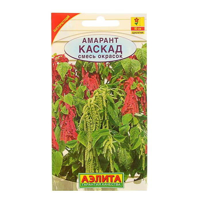 Семена цветов Амарант "Каскад", смесь окрасок, О, 0,5 г
