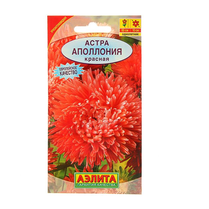 Семена цветов Астра "Аполлония" красная, О, 0,2 г