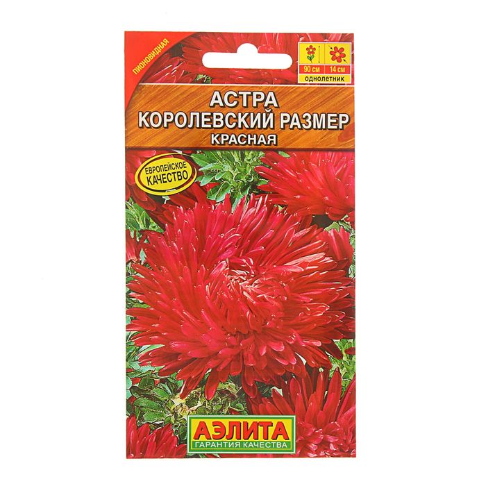 Семена цветов Астра "Королевский размер" красная, О, 0,1 г
