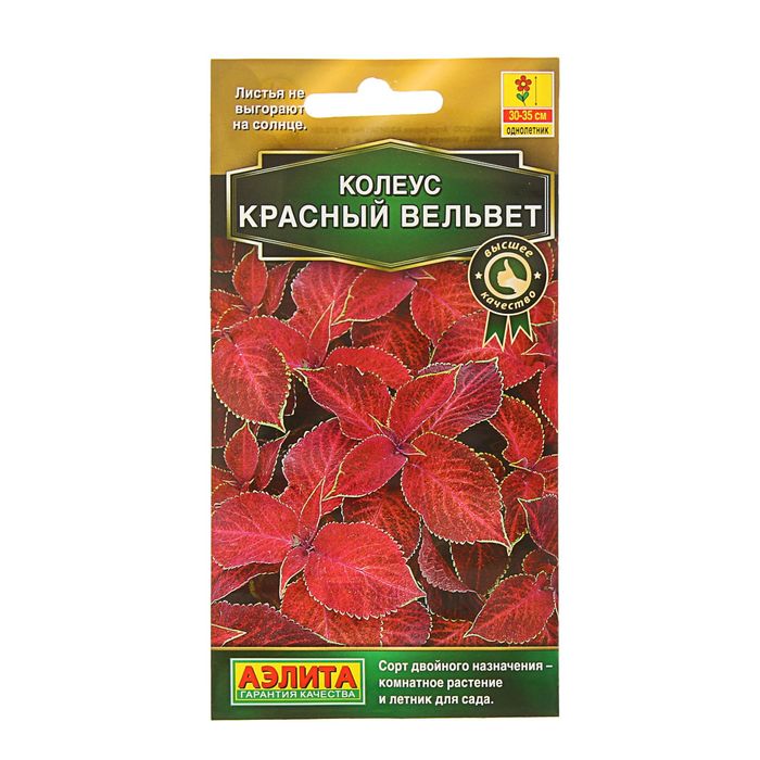 Семена цветов Колеус блюме "Красный вельвет", О, 10 шт
