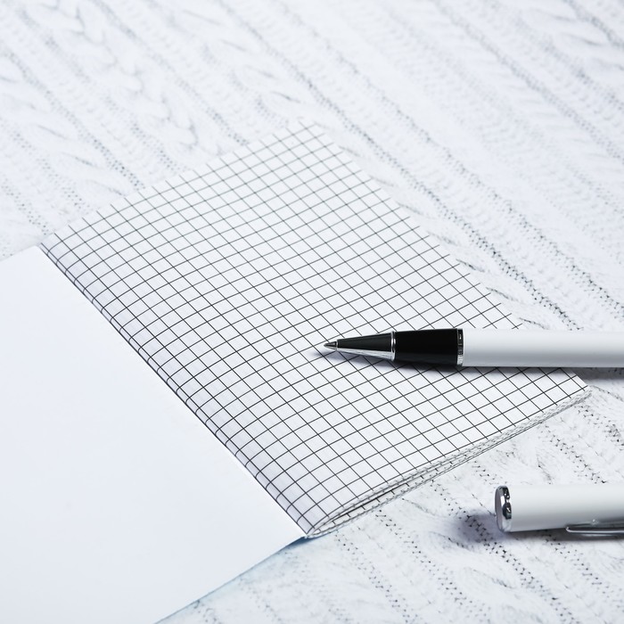 Блокнот «Великий Устюг. Дед Мороз и Снегурочка», 32 листа, клетка