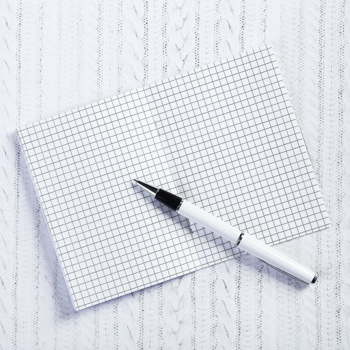 Блокнот «Великий Устюг. Дед Мороз и Снегурочка», 32 листа, клетка