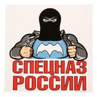 Наклейка на авто "Спецназ России", 18 х 18 см