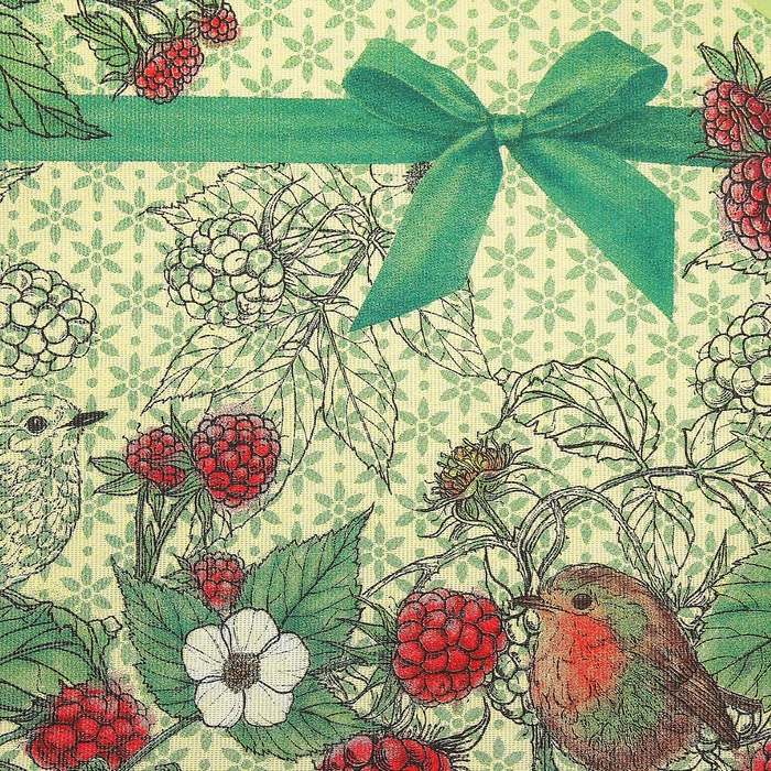 Фартук "Доляна" Малина, размер 60х70 см