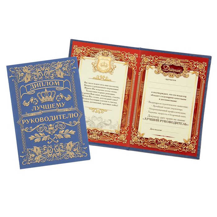 Диплом "Лучшего руководителя"