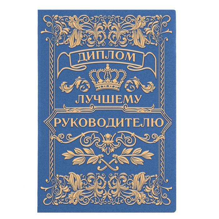 Диплом "Лучшего руководителя"