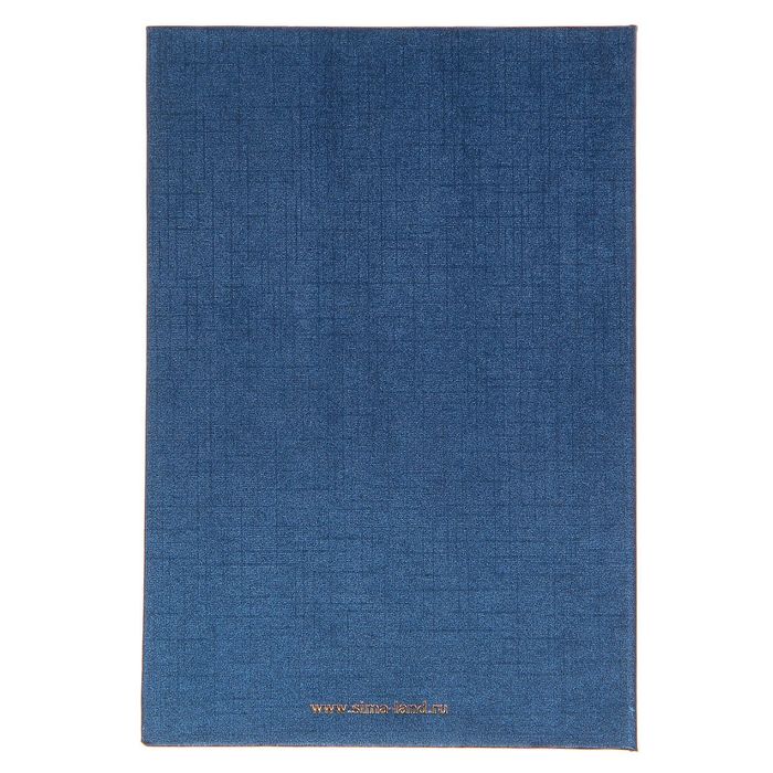 Диплом "Лучшего руководителя"