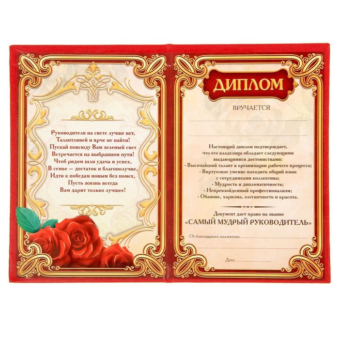 Диплом "Мудрого руководителя"