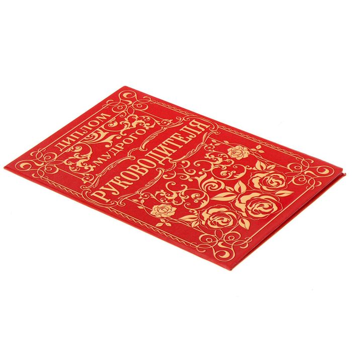 Диплом "Мудрого руководителя"