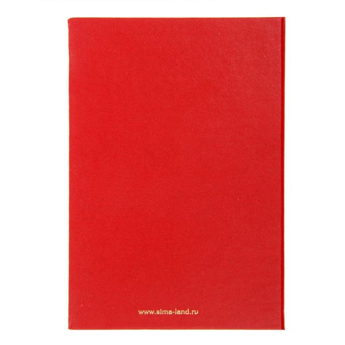 Диплом "Мудрого руководителя"