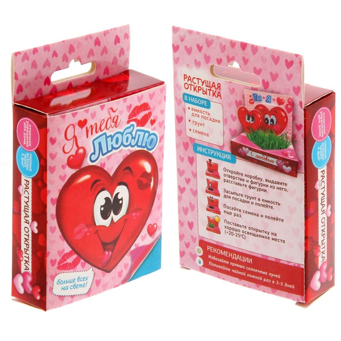 Растущий сувенир в открытке "Ты+Я"