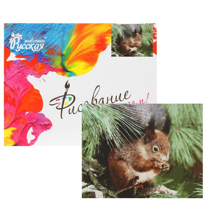 Рисование по номерам "Белка на ветке" 40х50 см