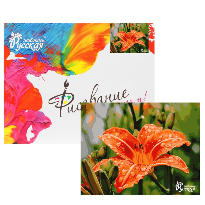 Рисование по номерам "Лилия" 40х50 см