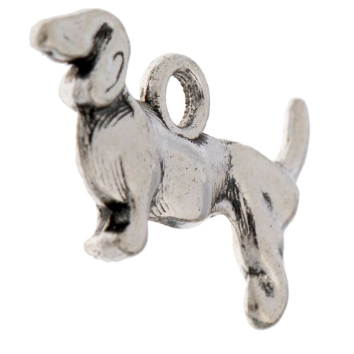 Кошельковый талисман "Такса благополучия"