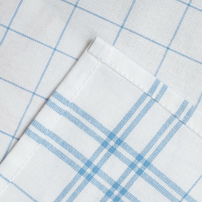 Кухонное полотенце "Доляна" Натюрморт, синяя полоска, размер 50х70±2 см