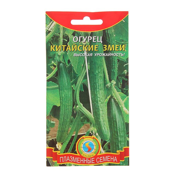 Семена Огурец "Китайские змеи", партенокарпический, 12 шт