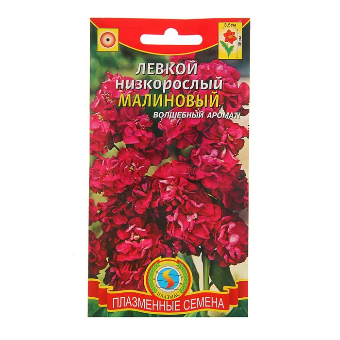 Семена Левкой, низкорослый "Малиновый", О, 0,1 г