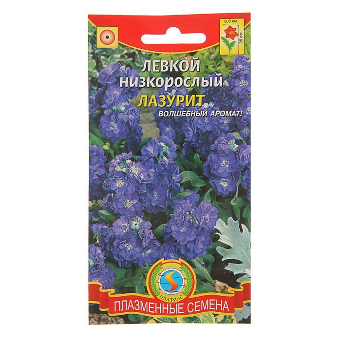 Семена Левкой, низкорослый "Лазурит", О, 0,1 г