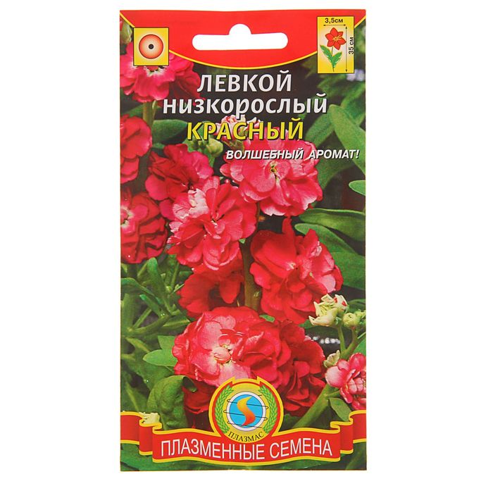 Семена Левкой, низкорослый "Красный", О, 0,1 г