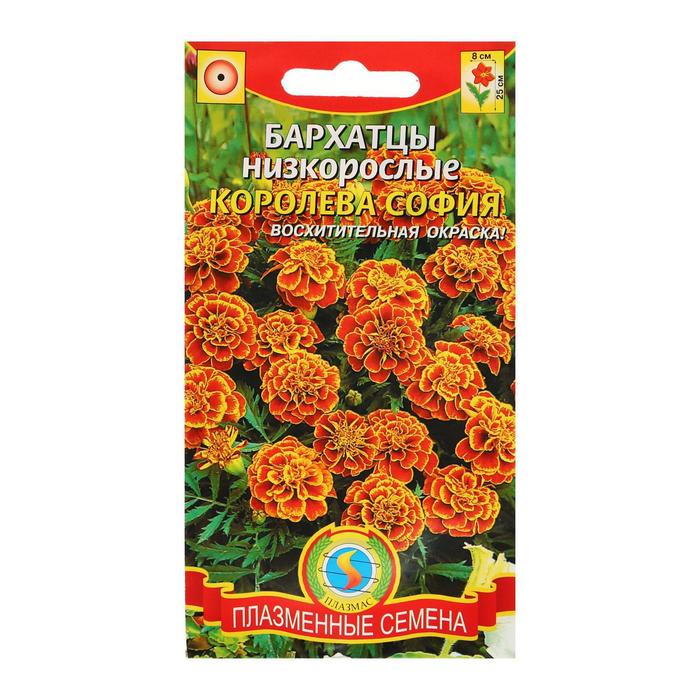 Семена Бархатцы низкорослые "Королева София", отклоненные, О, 45 шт.