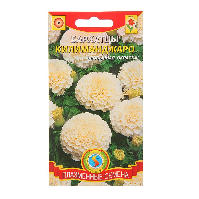 Семена Бархатцы "Килиманджаро", О, 10 шт