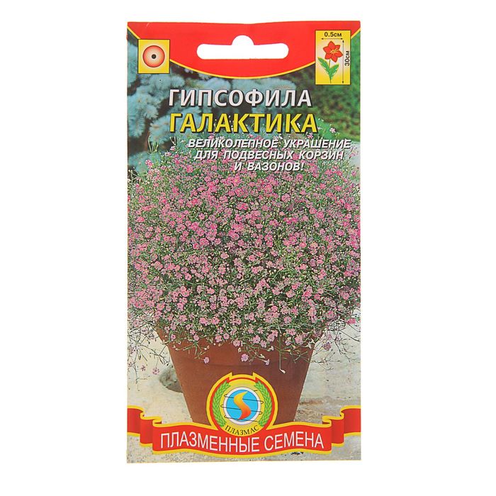 Семена Гипсофила "Галактика", О, 0,005 г