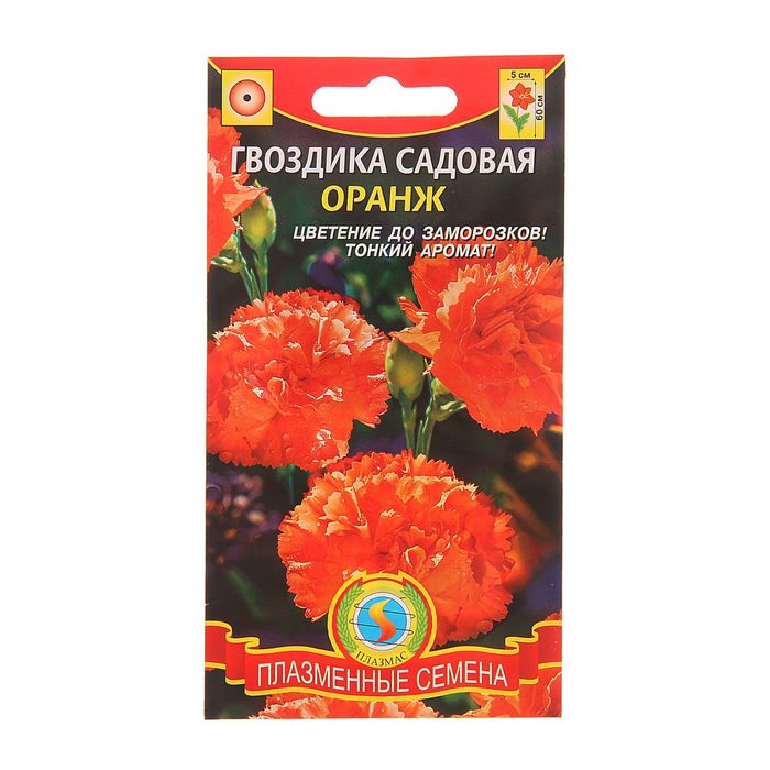 Семена Гвоздика садовая "Оранж", О, 0,1 г