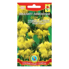 

Семена комнатных цветов Эвкалипт "Лимонный", Мн., 3 шт