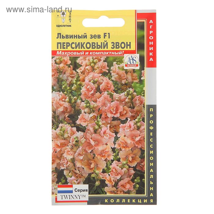 Львиный зев день ночь Львиный зев день ночь