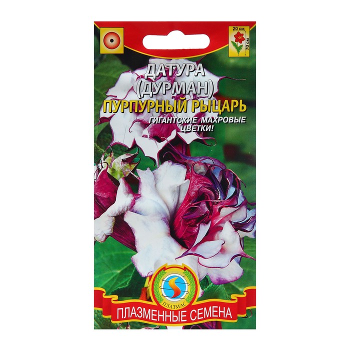 Семена Датура (Дурман) "Пурпурный рыцарь", О, 4 шт