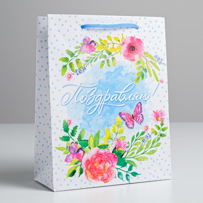 Пакет ламинированный вертикальный «Бабочки», MS 18 × 23 × 8 см