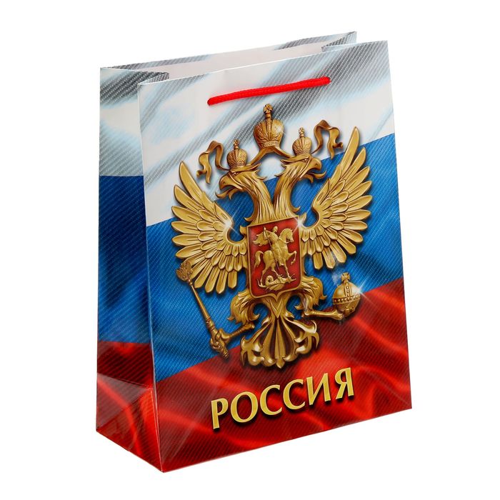 Пакет ламинированный вертикальный «Родная страна», MS 18 × 23 × 8 см