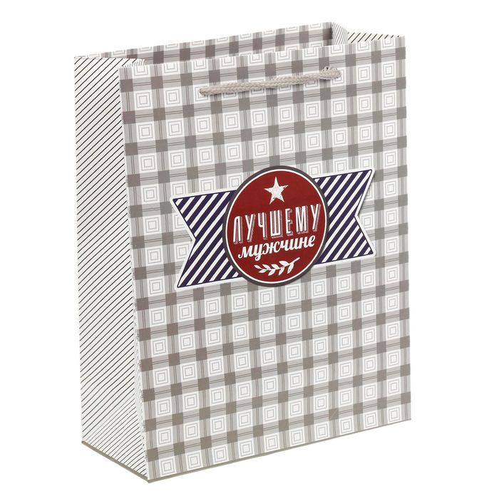 Пакет ламинированный вертикальный «Стильному мужчине», MS 18 × 23 × 8 см