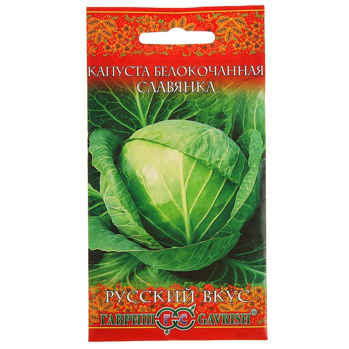 Семена Капуста белокочанная "Славянка", для хранения, 0,5 г