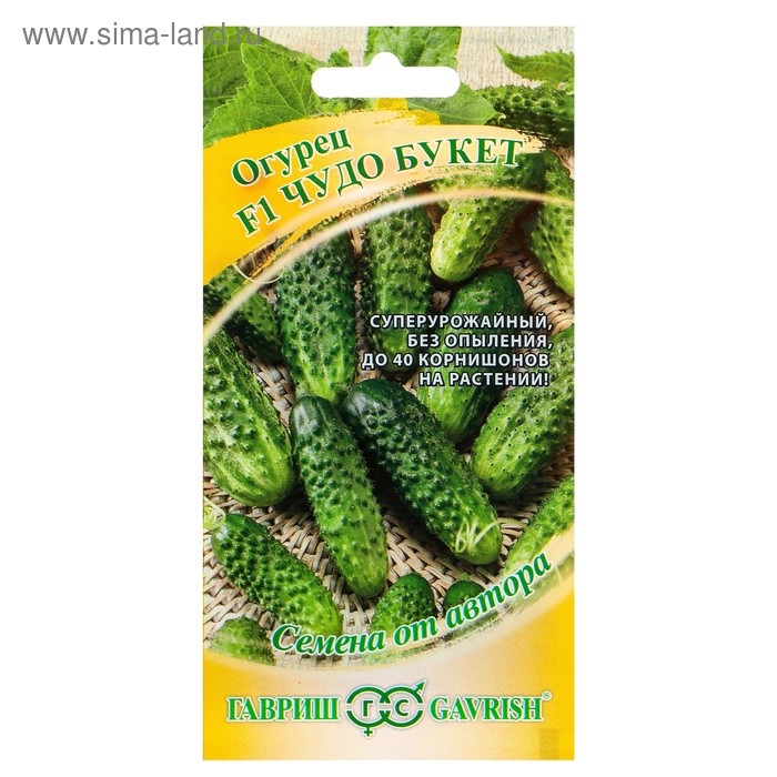 Семена Огурец Чудо букет F1, суперурожайный, партенокарпический, 10 шт. семена огурец букет f1