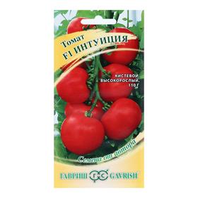 Томат Интуиция Фото