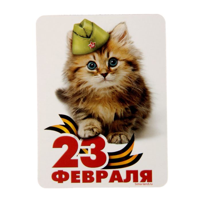 Магнит "23 Февраля", котик