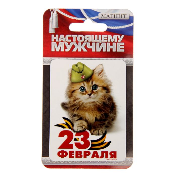 Магнит "23 Февраля", котик